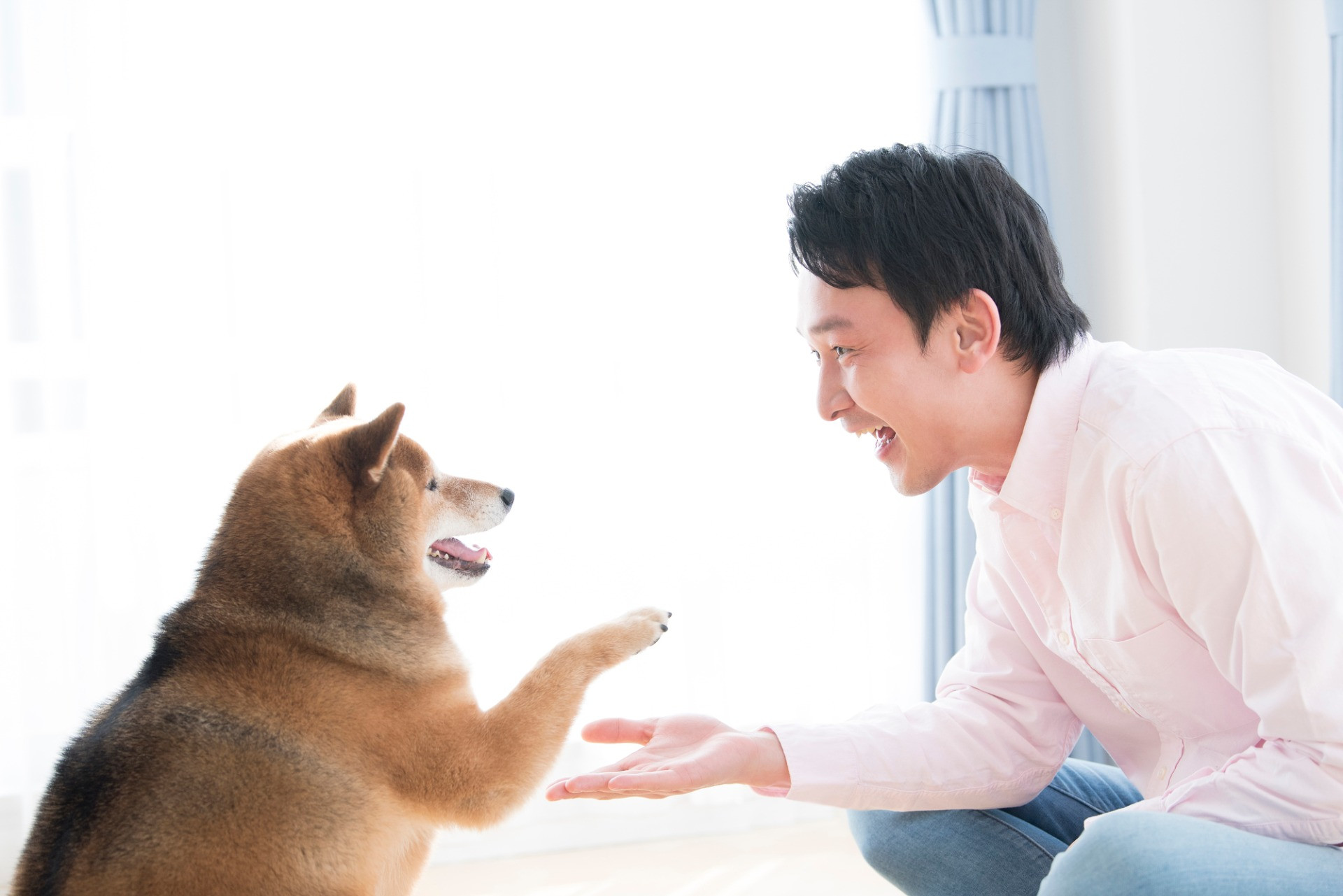 【大阪】初めて犬を飼う方に｜わんtogether